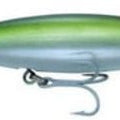  anguila