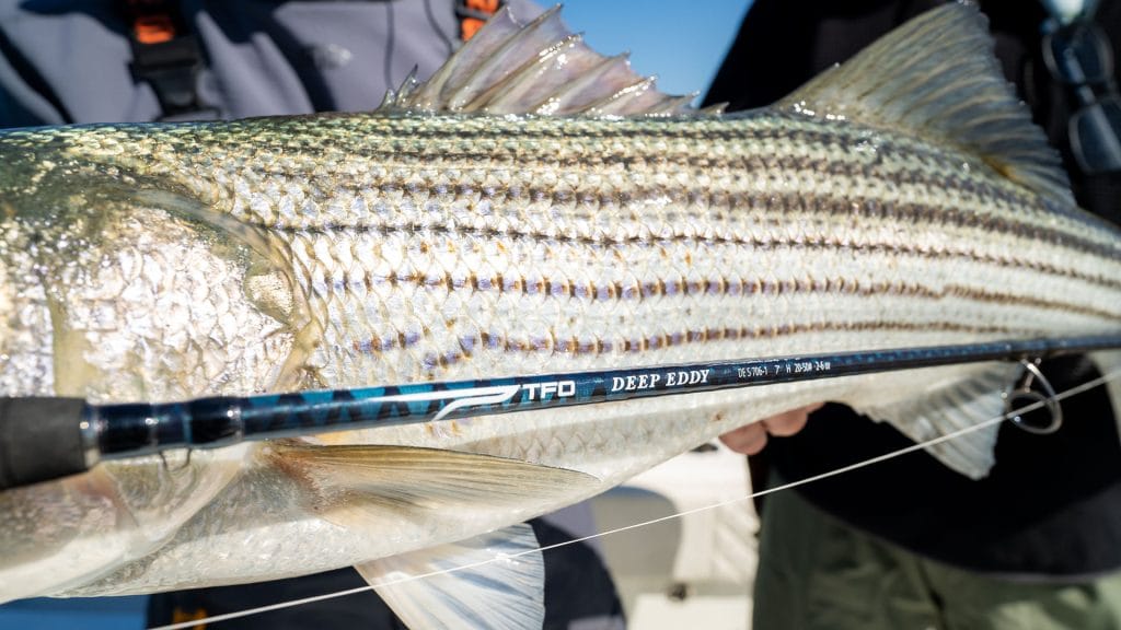 Temple Fork Deep Eddy Nearshore Rods