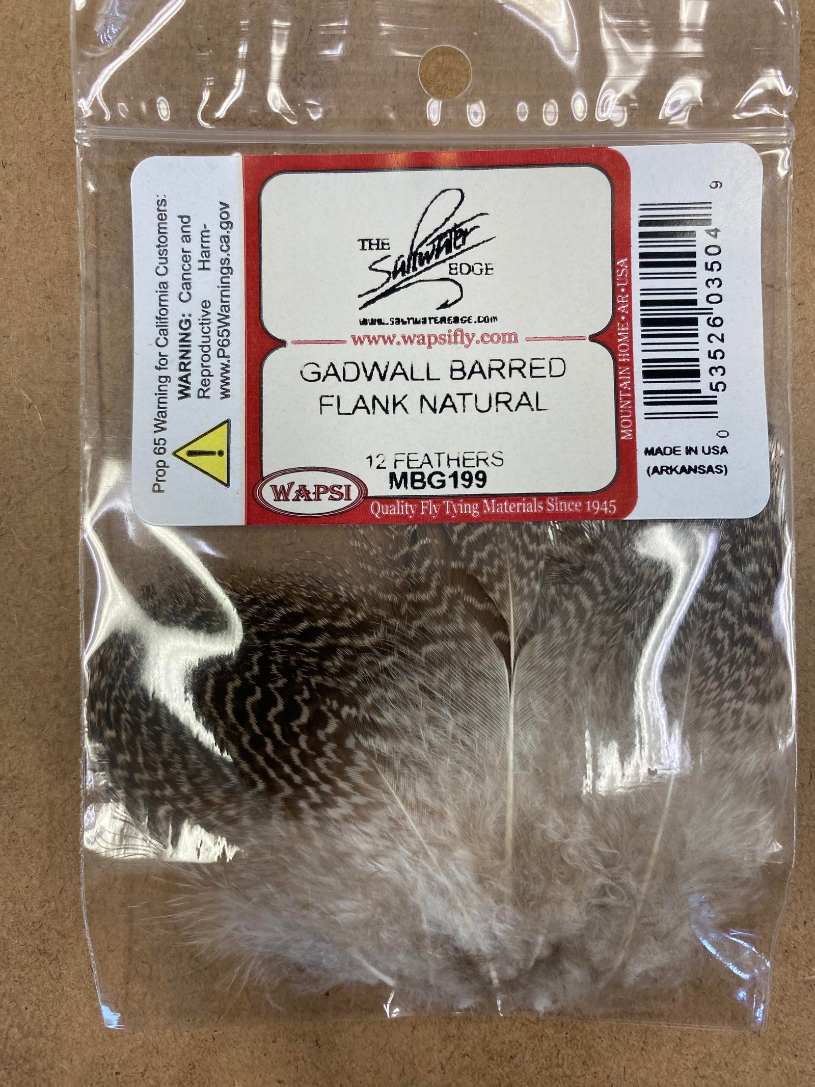 Gadwall Barred Flank Natural