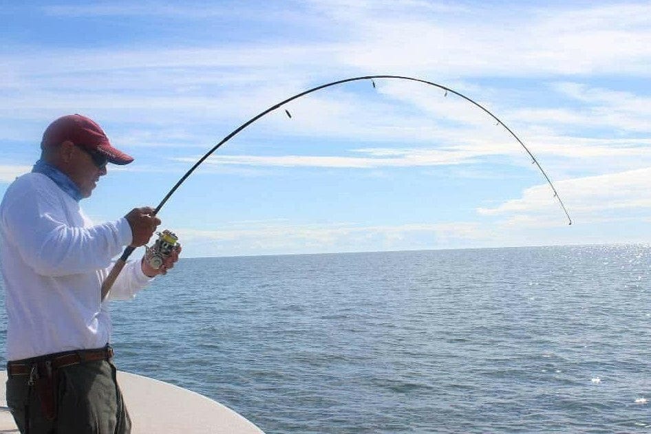 120 Rods and Reels ideas  rod and reel, fishing reels, saltwater