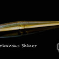  Abrillantador de Arkansas