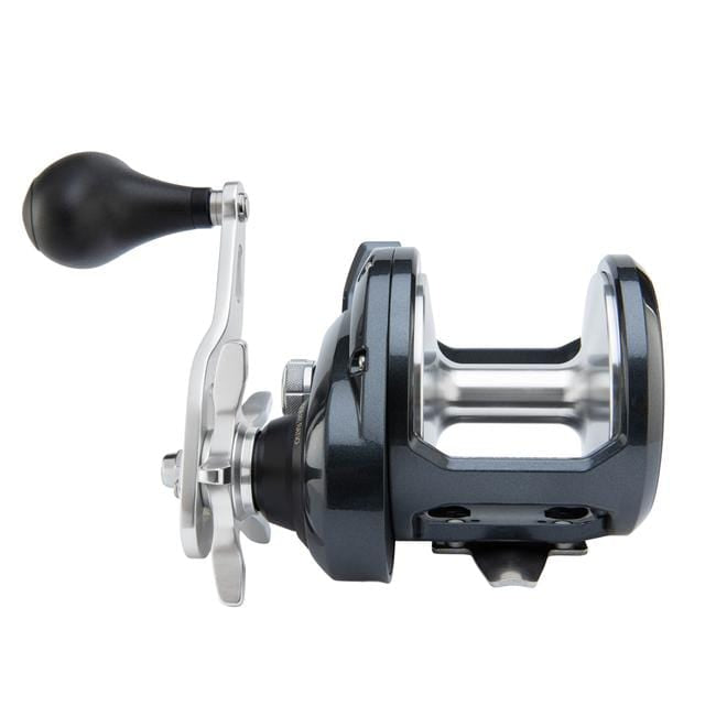 Accurate Tern 2 Star Drag Conventional Reels