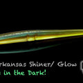  Arkansas Shiner - Vientre Resplandor