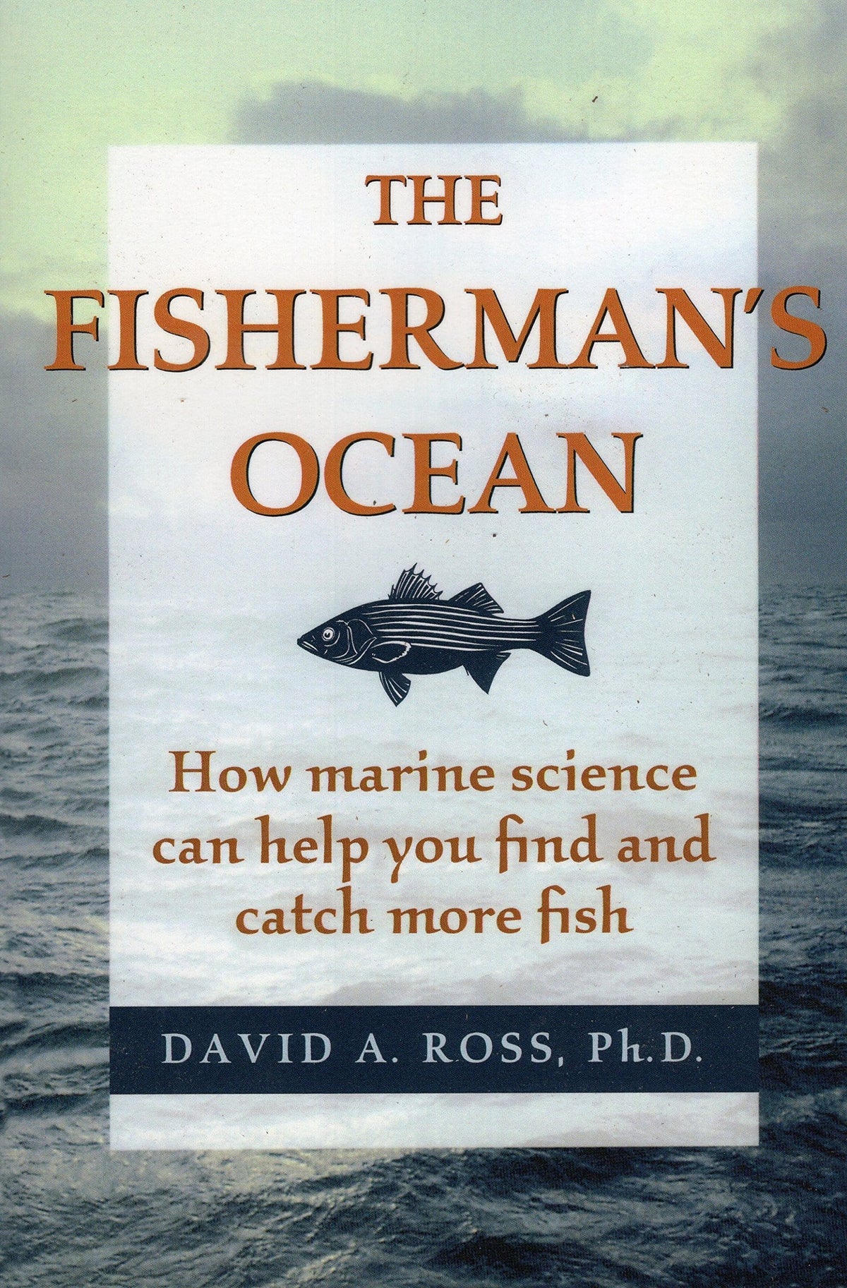The Fisherman&#39;s Ocean - By David A. Ross, ph. D.
