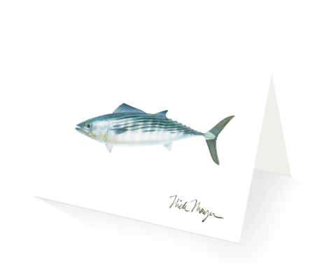 Nick Mayer Note Cards Bonito