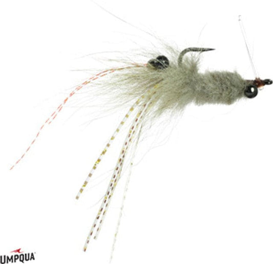 Coyote Shrimp Tan / 6