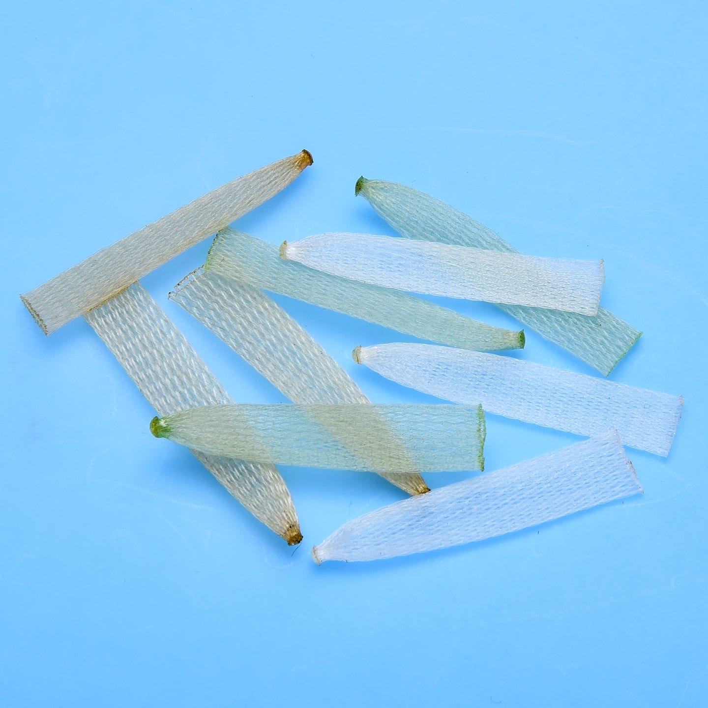 EP Softshell Crab Body