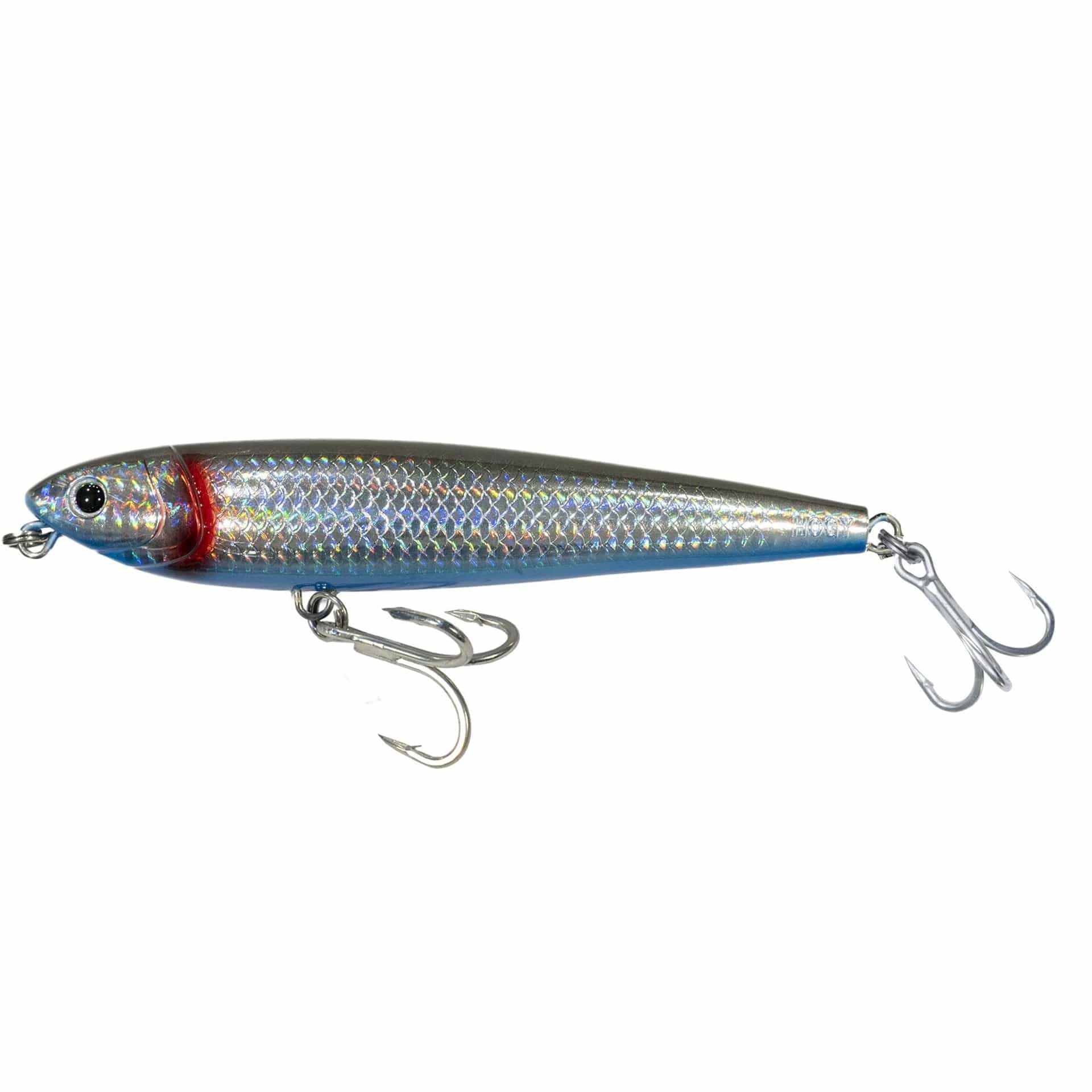 Walk the Dog Topwater Tactics for East Coast Stripers