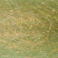  Aceituna