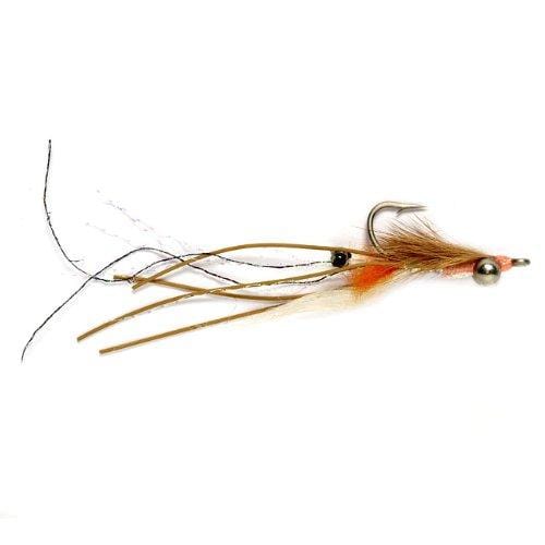 Peterson's Spawning Shrimp #2