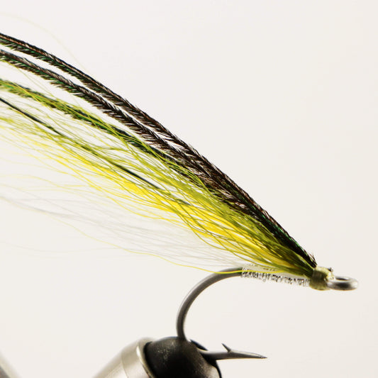 Ray's Fly