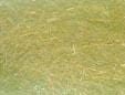  Aceituna Silvestre