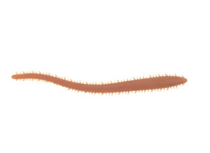 Berkley Gulp!® Saltwater Sandworm - 6 Natural GSSW6-NAT 