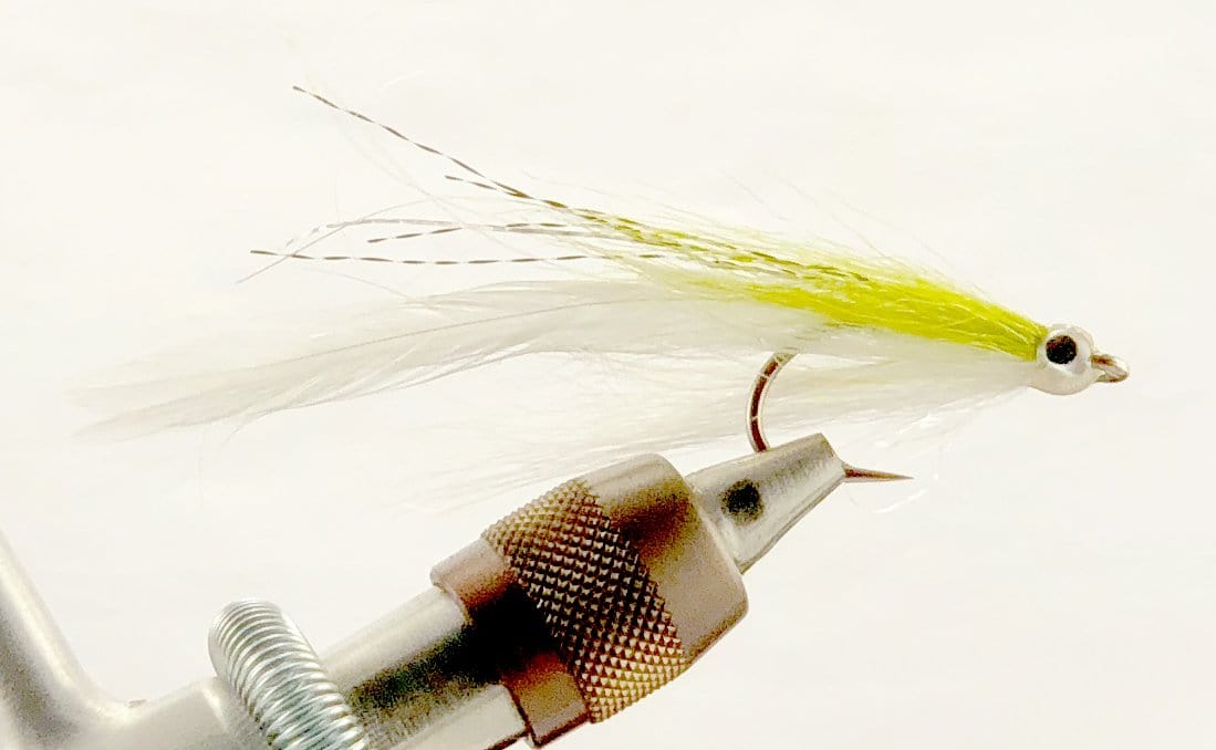 Veverkas Albie Special Size 2