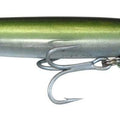  anguila