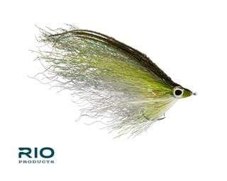 Rio Student Loan Fly Olive