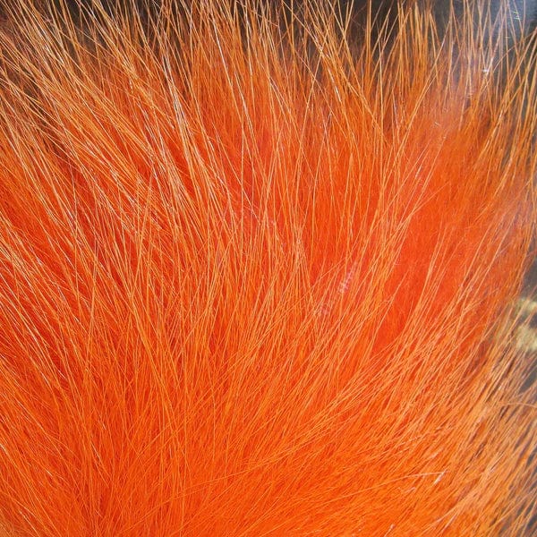 Arctic Fox Body Hair Orange