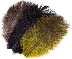Wapsi Ostrich Plumes