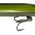  anguila