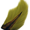  Oliva claro