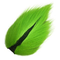  Verde lima