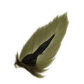  Oliva amarilla