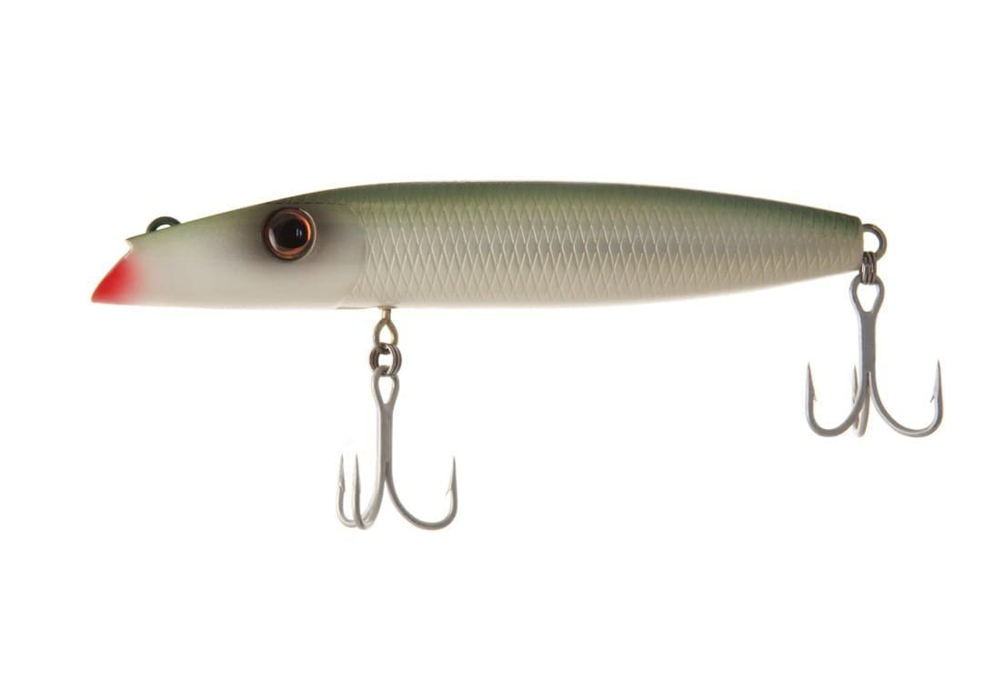 Northbar Montauk Darter Parrot