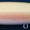  Oro/Blanco