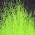  Chartreuse pastel