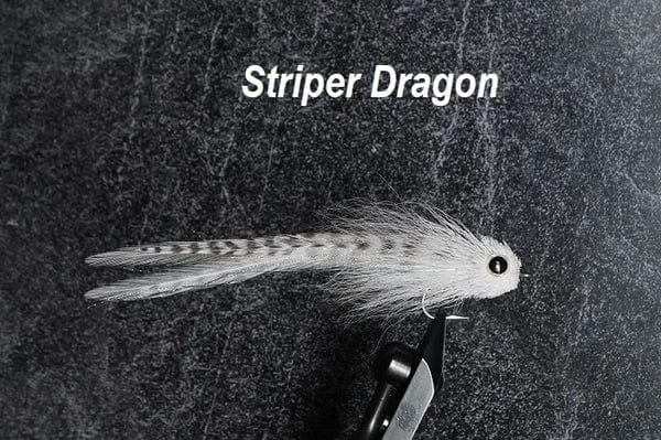 Striper Dragon - The Saltwater Edge