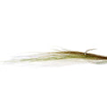  Aceituna