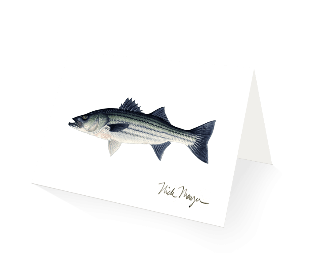 Nick Mayer Note Cards - The Saltwater Edge