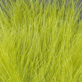  Verde oliva