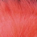  Camarones Rosa